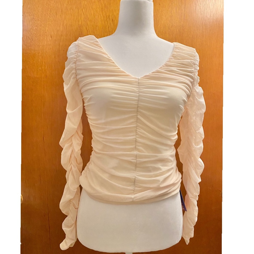 Ruched Mesh Long Sleeve Top